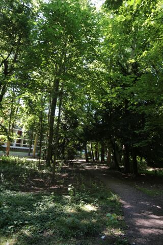  Appartement � vendre 4 pi�ces 84 m�