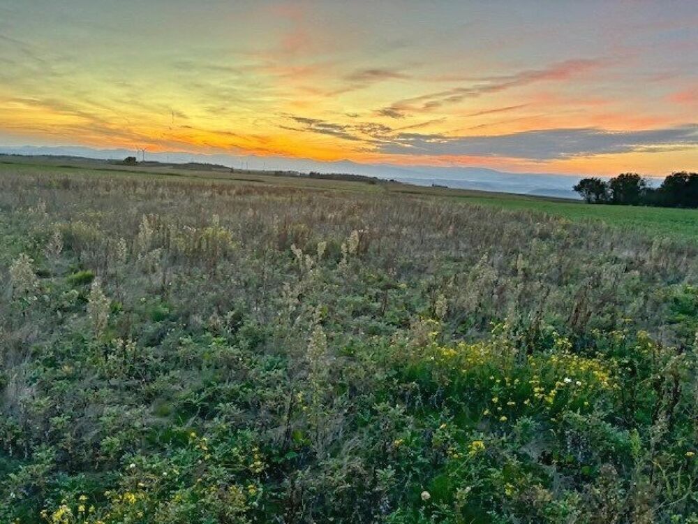 Vente Terrain TERRAIN DE 14 820 M² – CALME, PLAT ET BIEN EXPOSÉ Saint jean de galaure