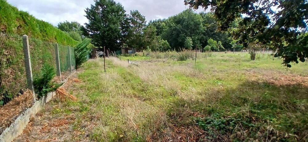 Vente Terrain terrain a bâtir de 1500m2 Anche