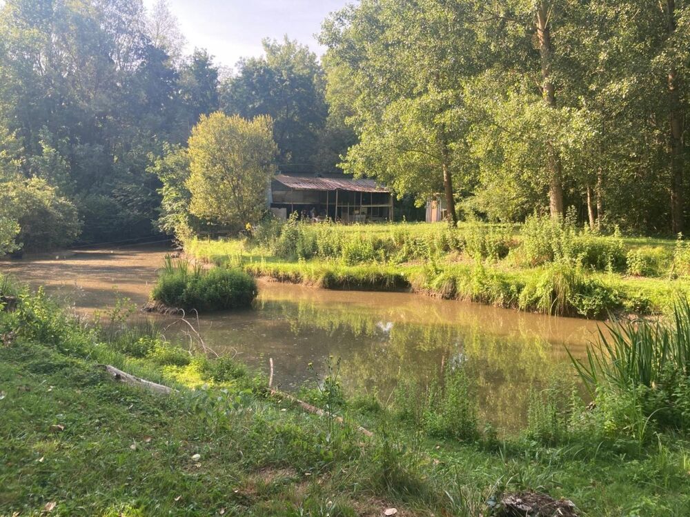 Vente Terrain TERRAIN + ETANG PROCHE TRES CALME PROCHE CENTRE BOURG Dissay
