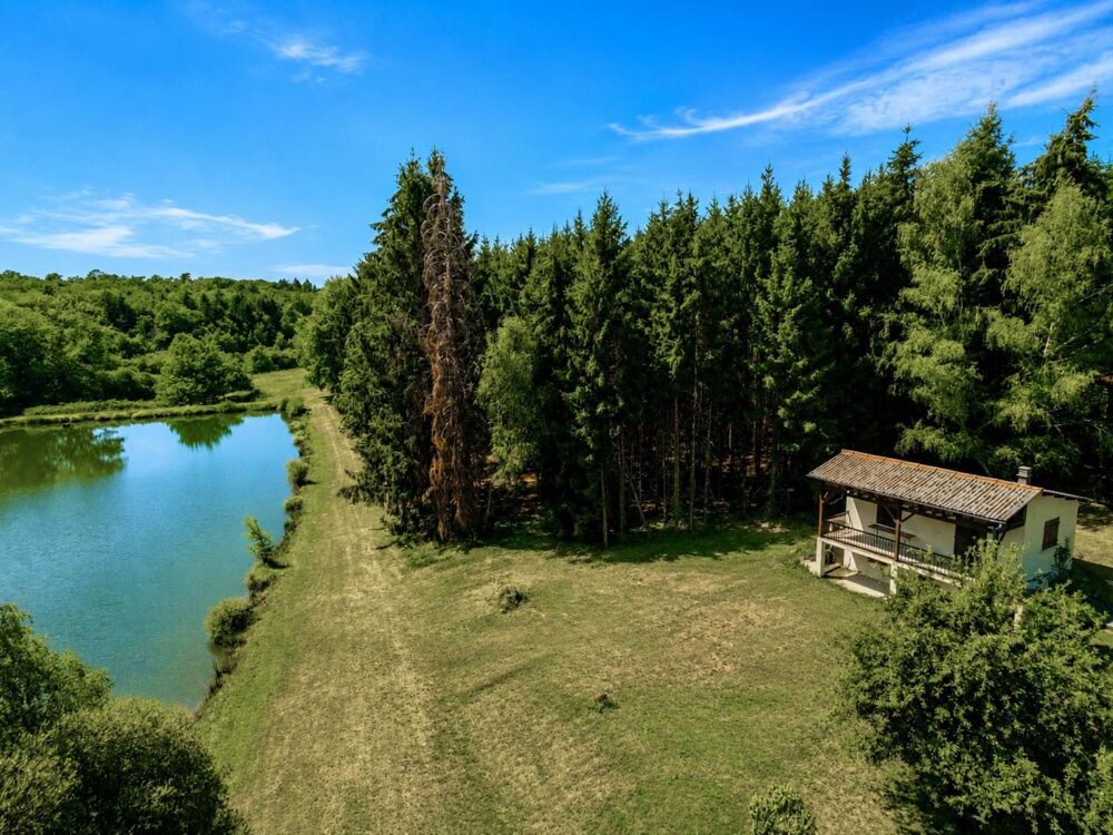 Vente Terrain Propriété de 4,8 hectares avec 3 étangs et petite construction Augignac