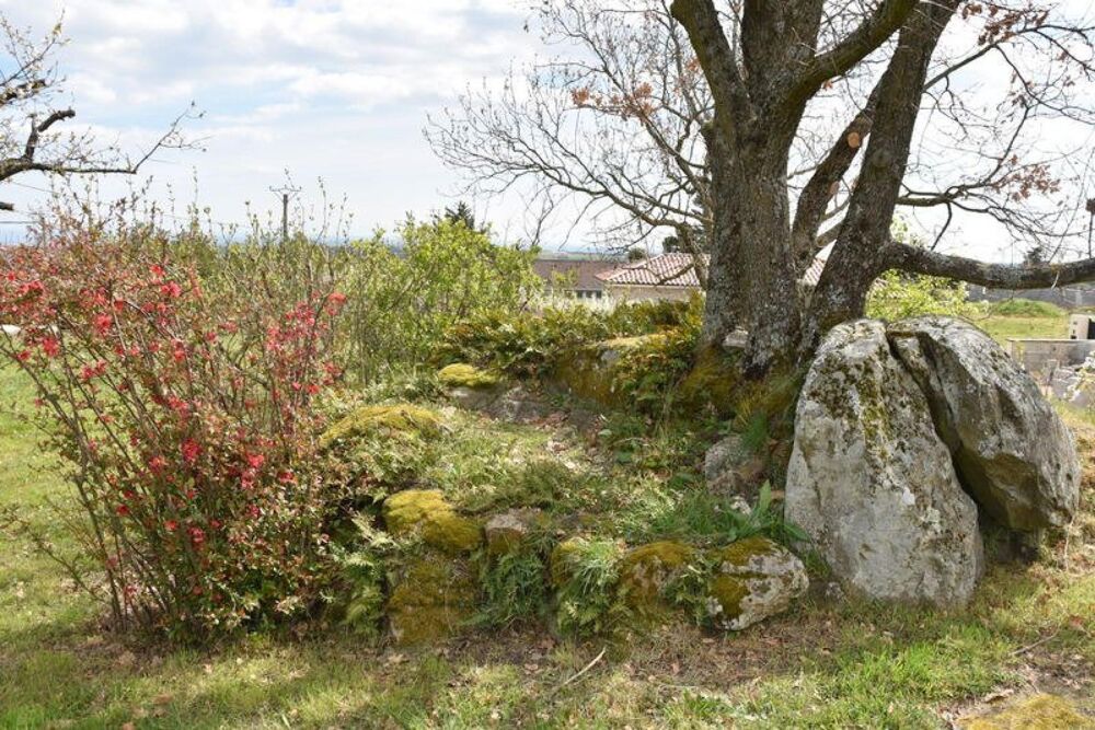Vente Terrain Magnifique terrain à bâtir avec splendide vue sur les Alpes Peaugres