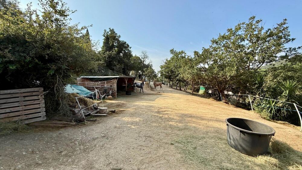 � vendre  Maison Grimaud (83310)