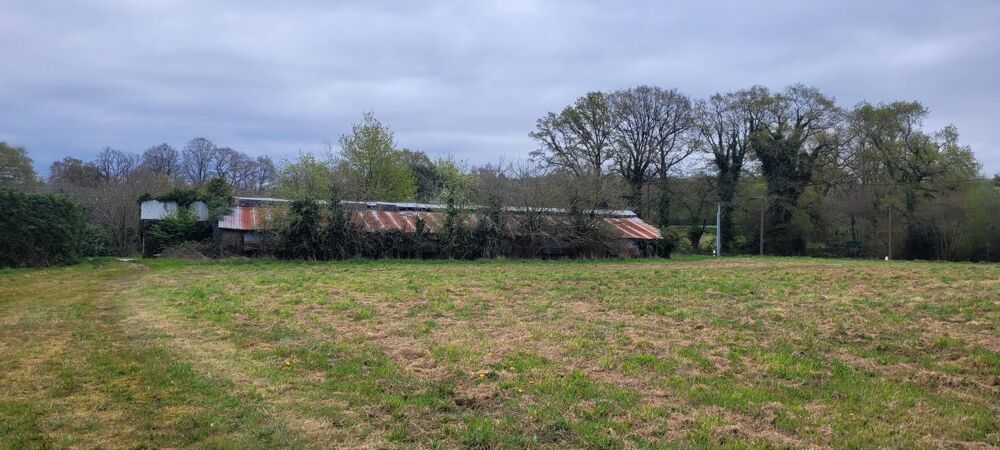 Vente Terrain Rare sur le secteur, 6 hectares, 2 bâtiments ( ancien poulailler et Hangar en briques et couverture en tôles ) Bignan