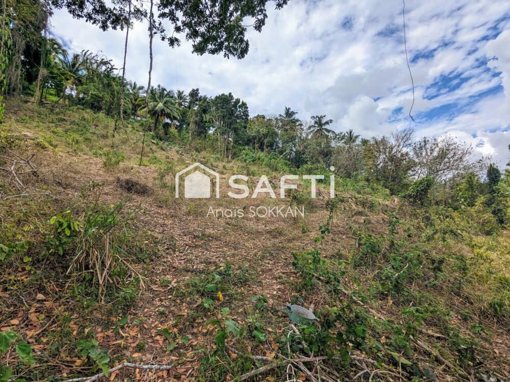 Vente Terrain Grand terrain avec vue sur mer et montagne Riviere-salee
