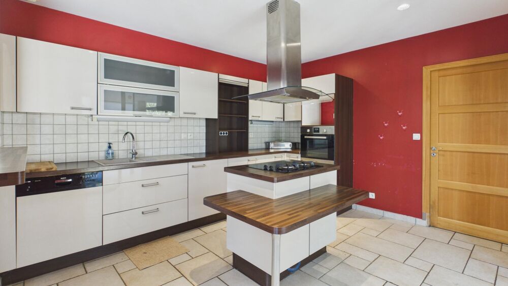 Maison plain pied avec parc arboré en lisière de forêt