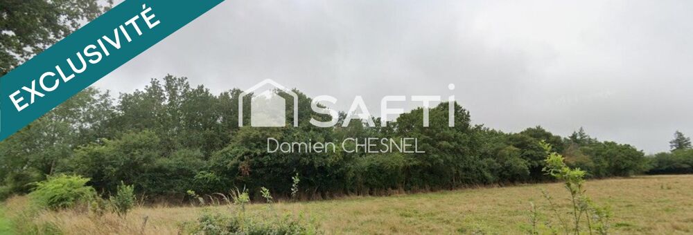 Vente Terrain Terrain boisé de 6 585 m² à Lignières – idéal pour le bois de chauffage Lignieres