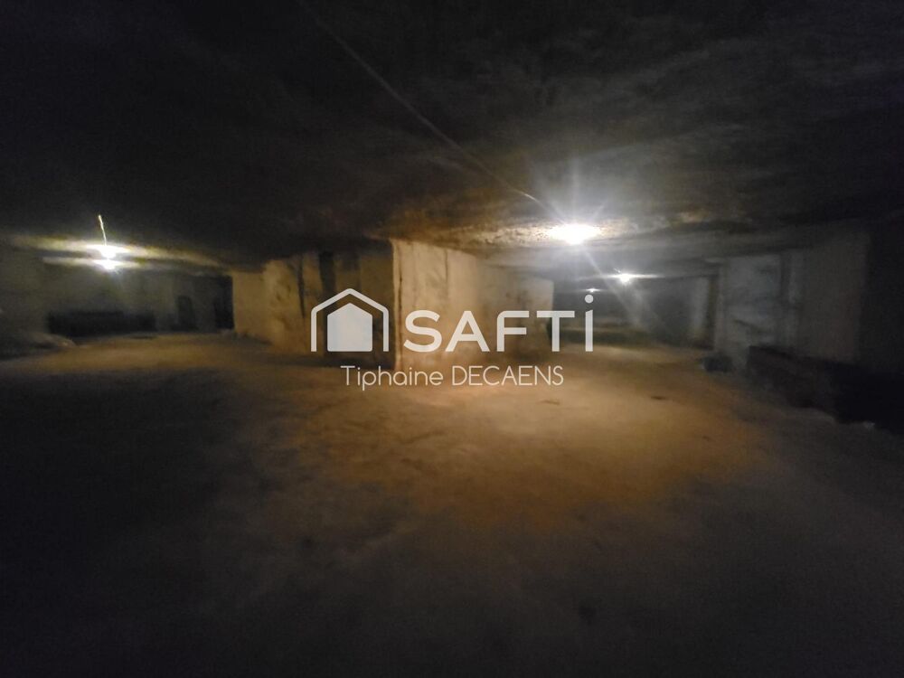 Maison ancienne avec 2 depandances + etage independant, 2 tres grande cave dont 1 de plus de 75 m de long environ 550m2