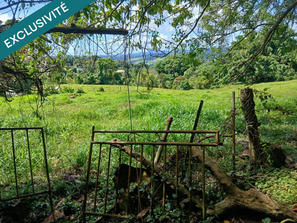 Vente Terrain TERRAIN EN ZONE CONTRUCTIBLE ET TERRAIN EN ZONE AGRICOLE La trinite