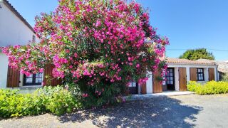  Maison � vendre 3 pi�ces 100 m�