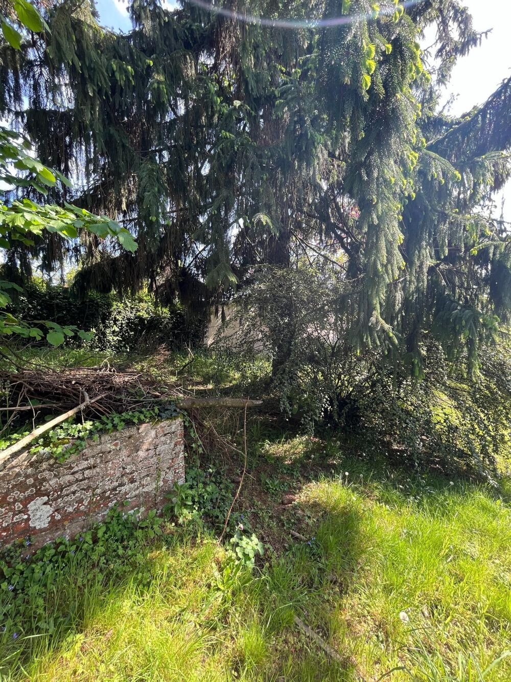 Vente Terrain TERRAIN A VENDRE, dans le bourg de Savenay Savenay
