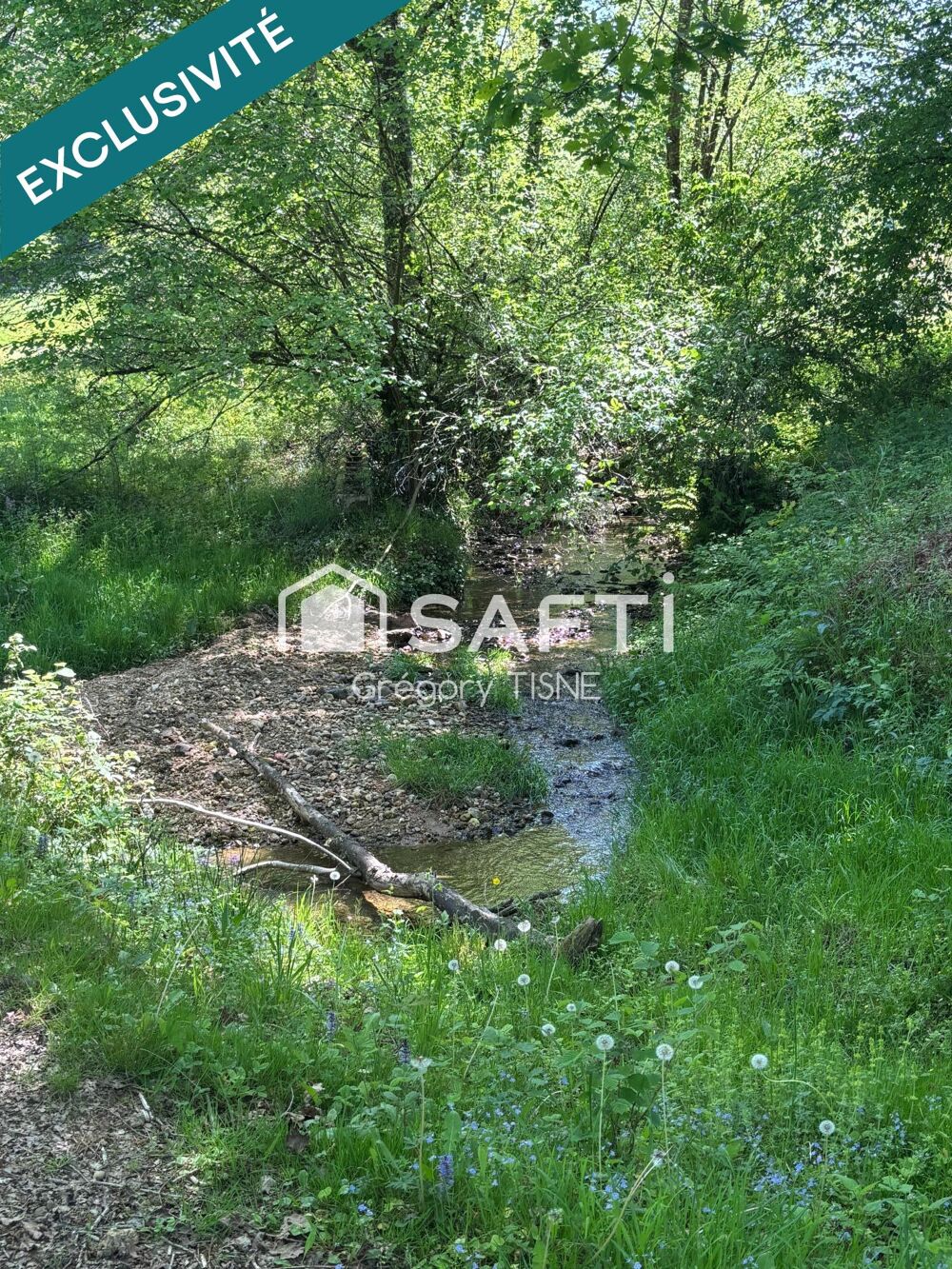Vente Terrain Une belle opportunité pour vos projets agricoles accompagnée de son hangar Saint-castin