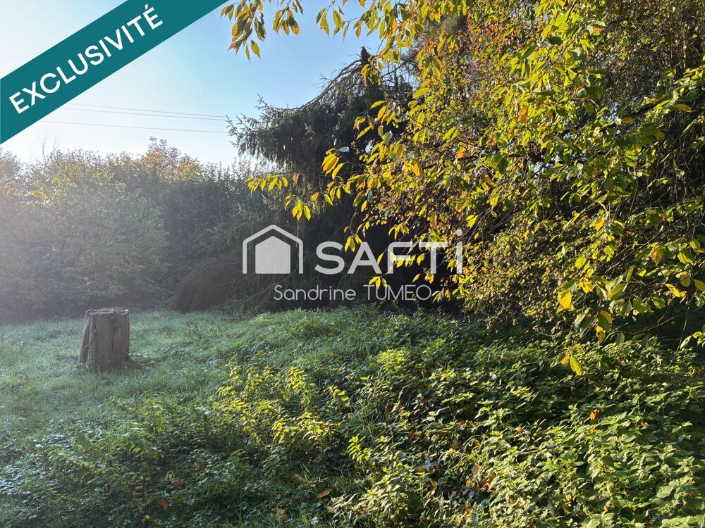 Vente Terrain Terrain constructible au calme, entre nature et sérénité Bersaillin