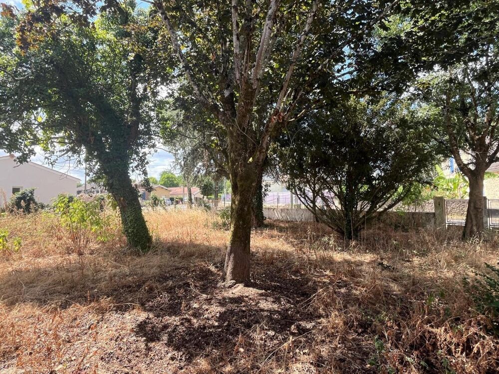 Vente Maison Jolie maison ancienne et dépendance avec grand jardin arboré Virelade