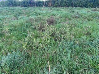  Terrain � vendre 626 m�