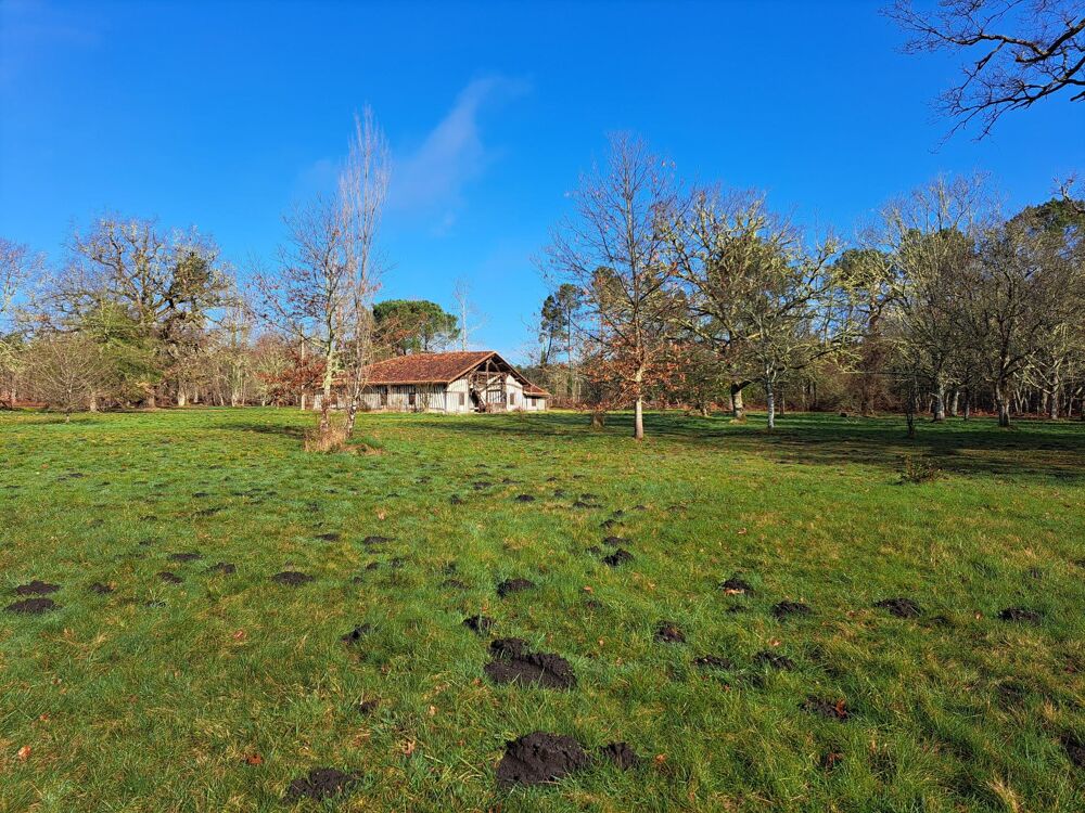 Ensemble immobilier