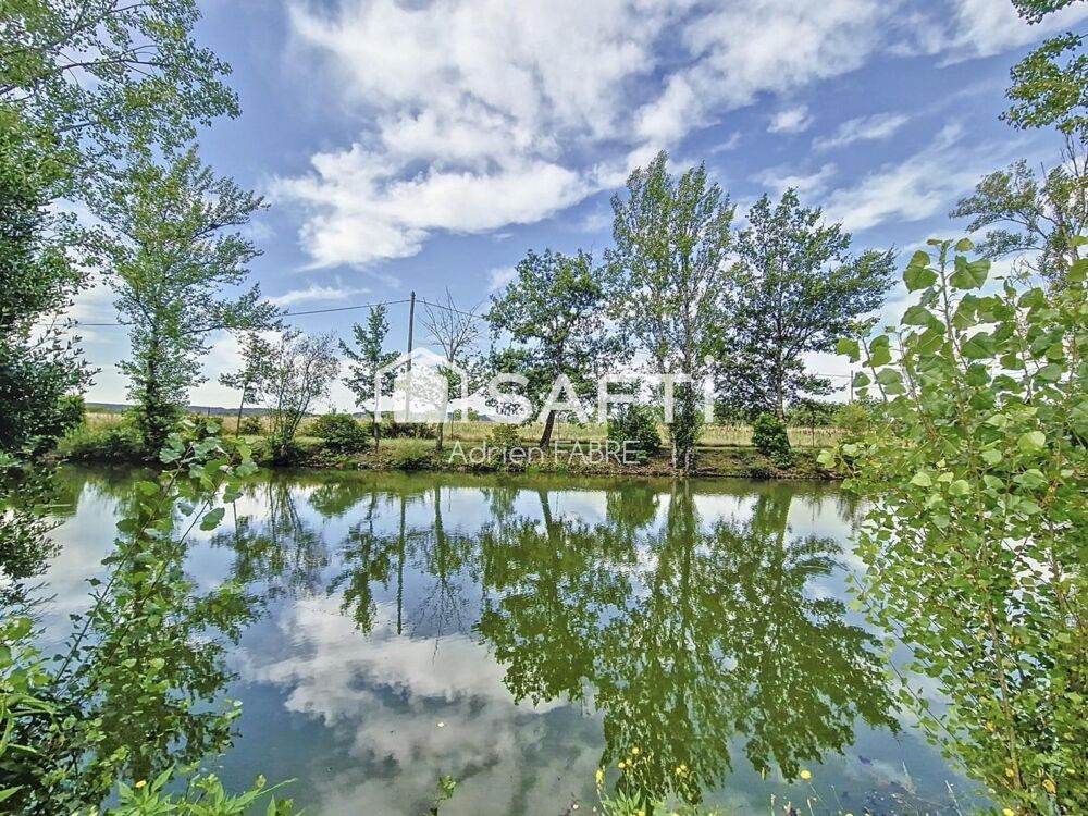  vendre  Proprit/chteau Saint-Sulpice (81370)