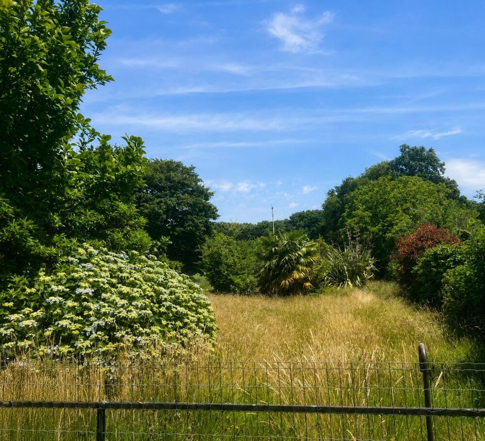 Vente Terrain un terrain bien exposé - au calme Persquen