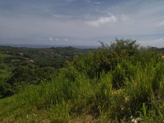  Terrain � vendre 1405 m�