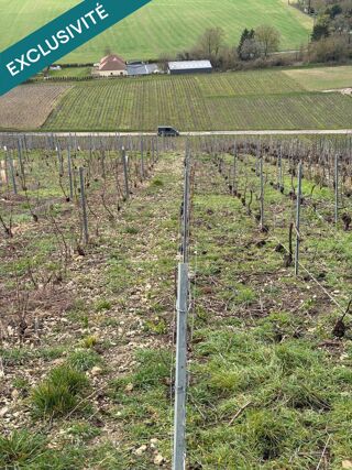  Terrain � vendre 700 m�