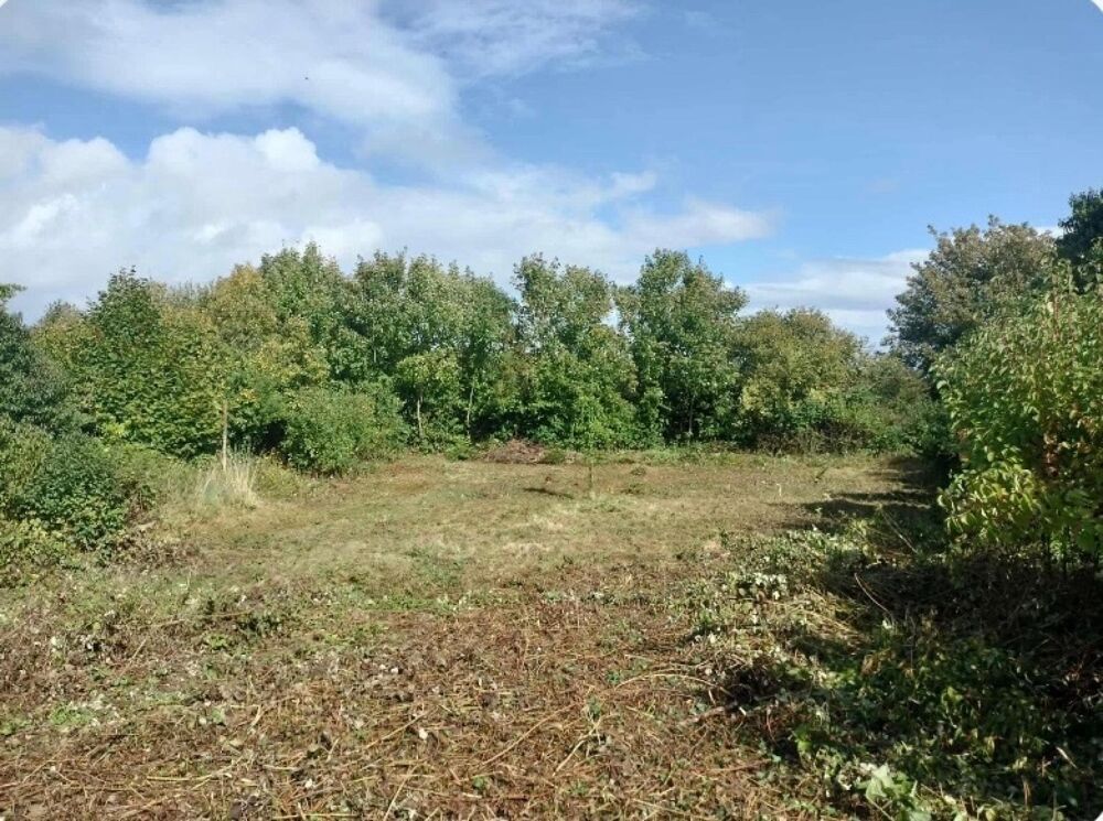 Vente Terrain Superbe terrain constructible de plus de 800 m2 Landrethun-les-ardres