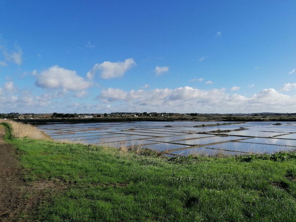  vendre  Maison Gurande (44350)