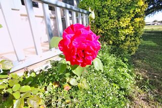  Maison � vendre 5 pi�ces 125 m�