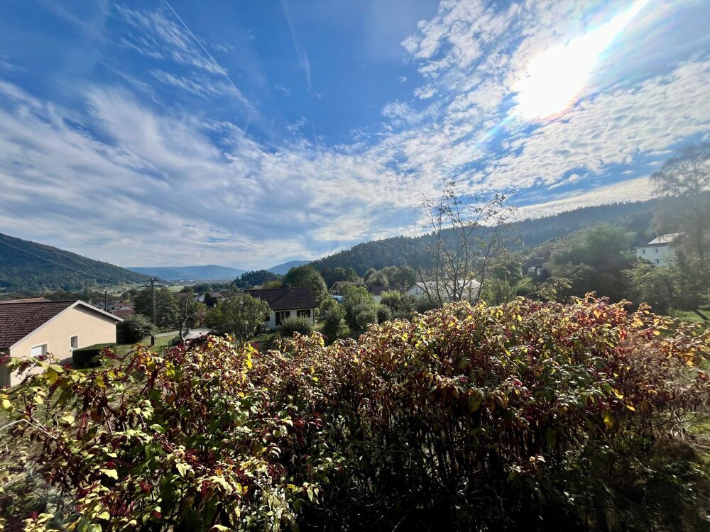 Vente Terrain Un terrain exceptionnel au cœur de Saint-Nabord Saint-nabord