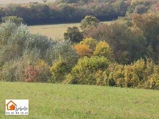  Maison � vendre 8 pi�ces 235 m�