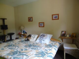  Maison à vendre 5 pièces 120 m²