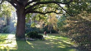  Propri�t�/ch�teau � vendre 15 + pi�ces 500 m�