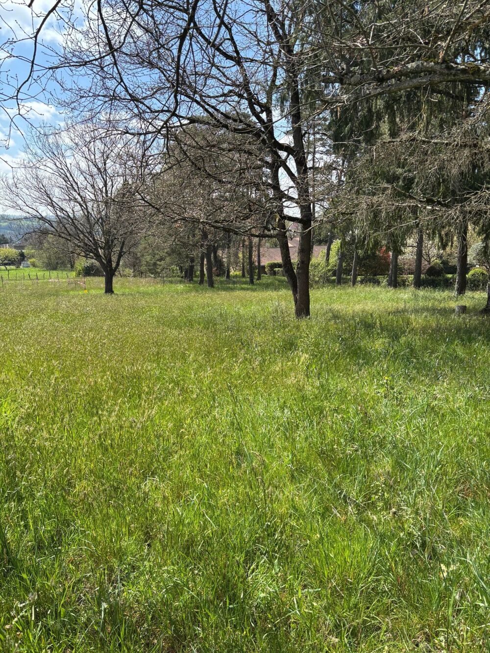 Vente Terrain Environnement calme Rosieres