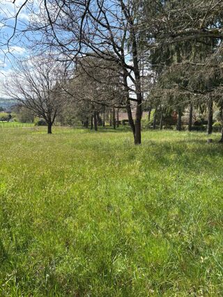  Terrain à vendre 1225 m²