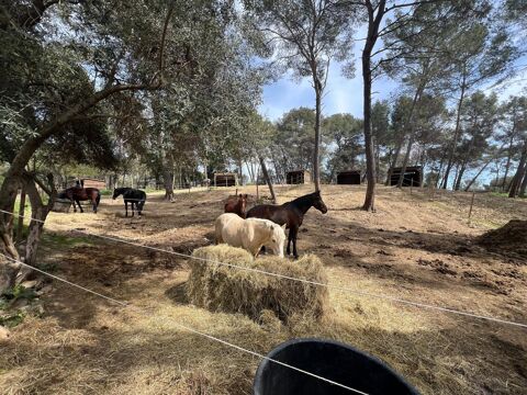 Haras de 12 hectares (70 Chevaux) 631578 06250 Mougins