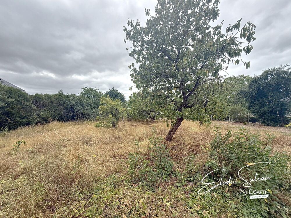 Vente Terrain Thorigné d'Anjou - Terrain constructible 600m2 Le lion-d'angers