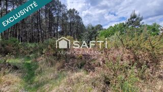  Terrain  vendre 28539 m