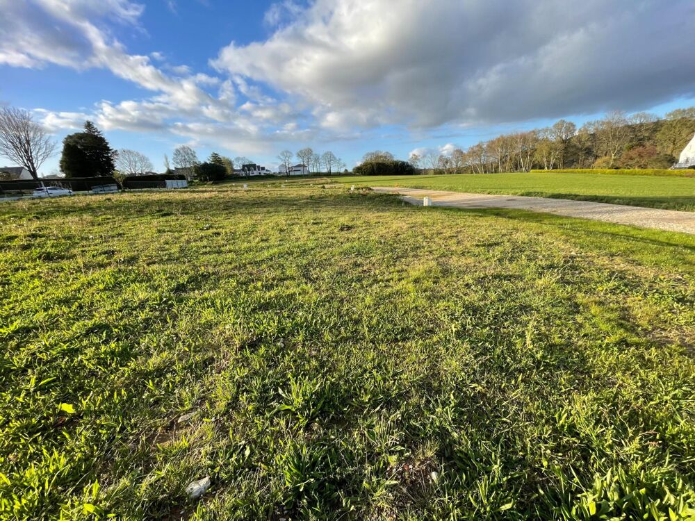 Vente Terrain TERRAIN CONSTRUCTIBLE DE 725 M2 BORNE, VIABILISE A GUENIN Guenin