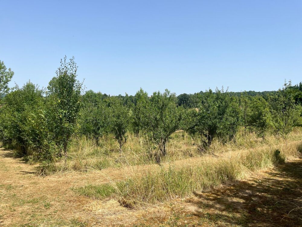 Vente Maison Maison à la campagne. Beaumontois en perigord