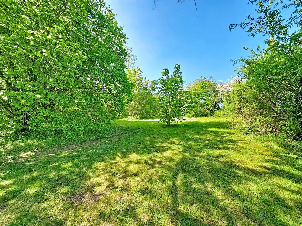 Vente Maison Propriété 165 m² sur un terrain de 5200m² Donnemarie Donnemarie-dontilly