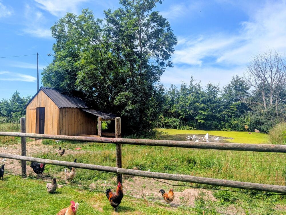 Vente Maison Magnifique maison de Maître Saint-vaast-dieppedalle