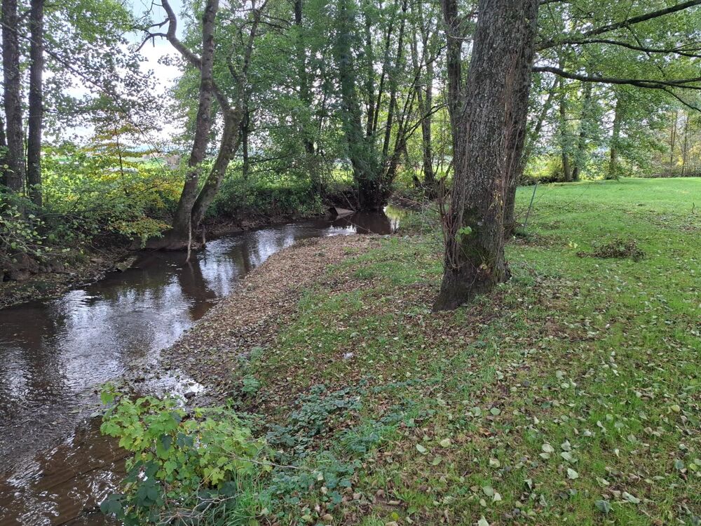 Vente Maison maison ancien moulin Wiseppe