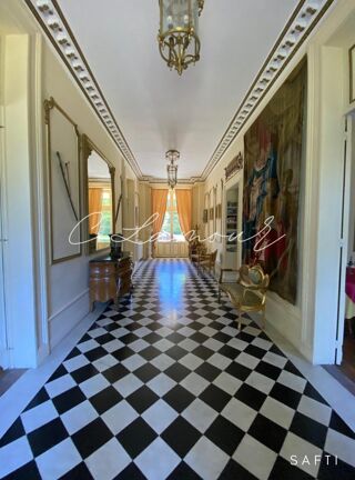  Propriété/château à vendre 15 + pièces 1100 m²