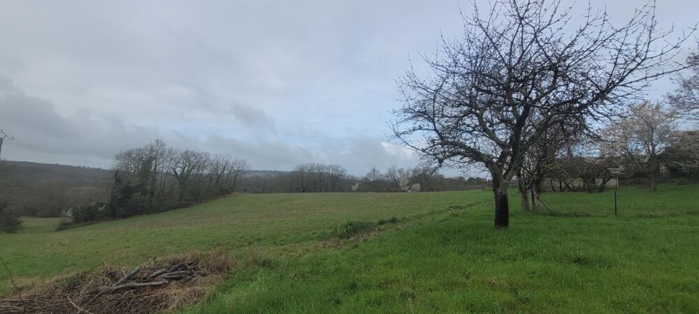 Vente Terrain GRAND TERRAIN Condezaygues