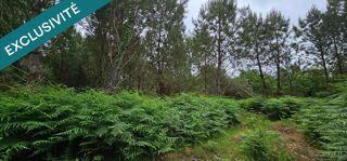  Terrain � vendre 5640 m�