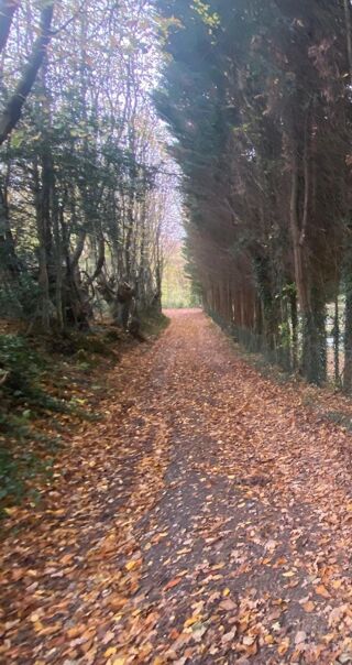  Terrain � vendre 2850 m�