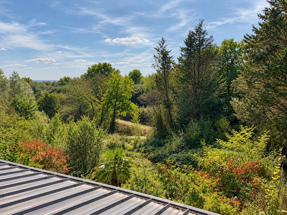 Vente Maison THOUARÉ-SUR-LOIRE  MAISON EXTRAORDINAIRE POUR VIVRE AUTREMENT Thouare-sur-loire