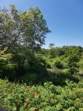  Terrain � vendre 2279 m�