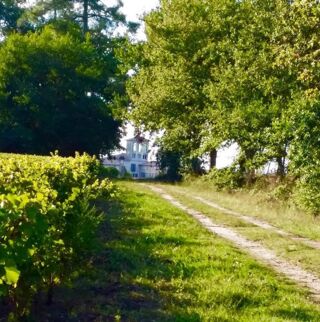  Propriété/château à vendre 15 + pièces 600 m²