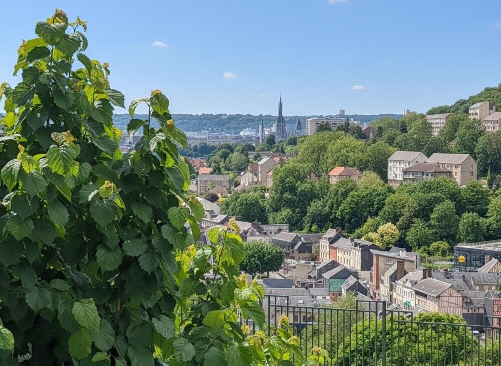 Vente Appartement Au calme vue dégagée avec extérieur Darnetal