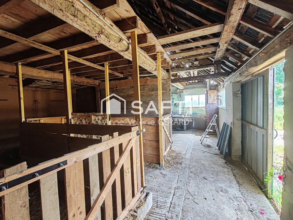 Maison à rénover+dépendances+terrain (8000m²)
